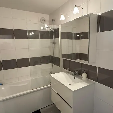 2 Pieces Avec Balcon, Parking, Internet Et Animaux Acceptes A - Fr-1-487-375 *