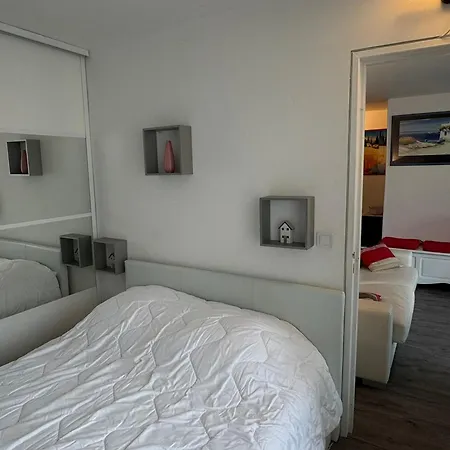 2 Pieces Avec Balcon, Parking, Internet Et Animaux Acceptes A - Fr-1-487-375 Apartmán