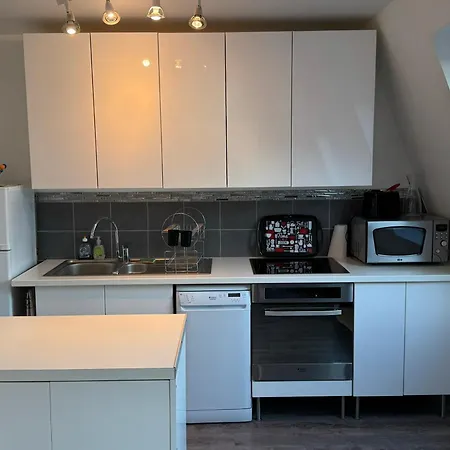 2 Pieces Avec Balcon, Parking, Internet Et Animaux Acceptes A - Fr-1-487-375 Διαμέρισμα *